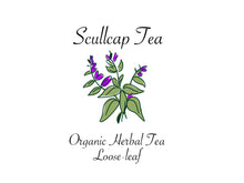 Load image into Gallery viewer, Scullcap Tea