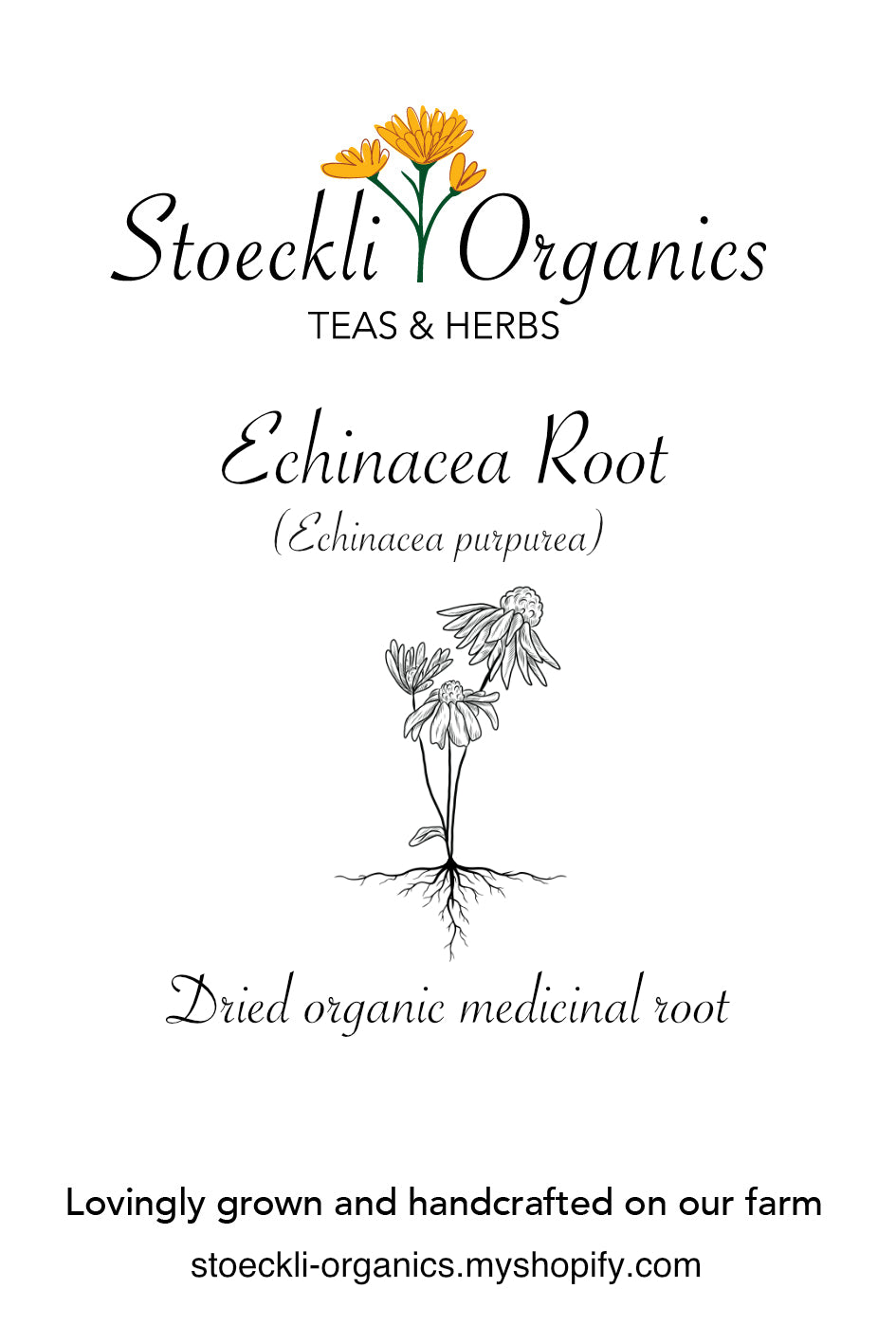 Organic Echinacea Root