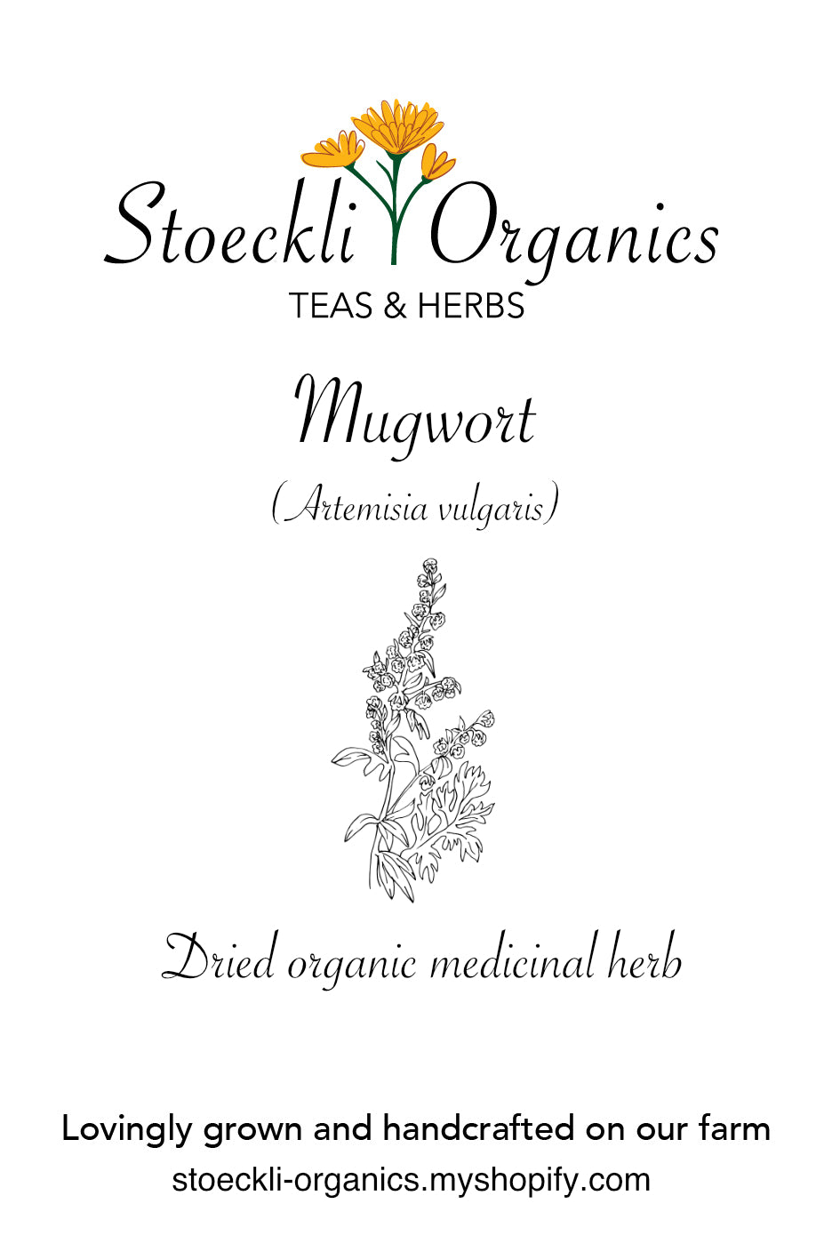 Organic Mugwort Herb