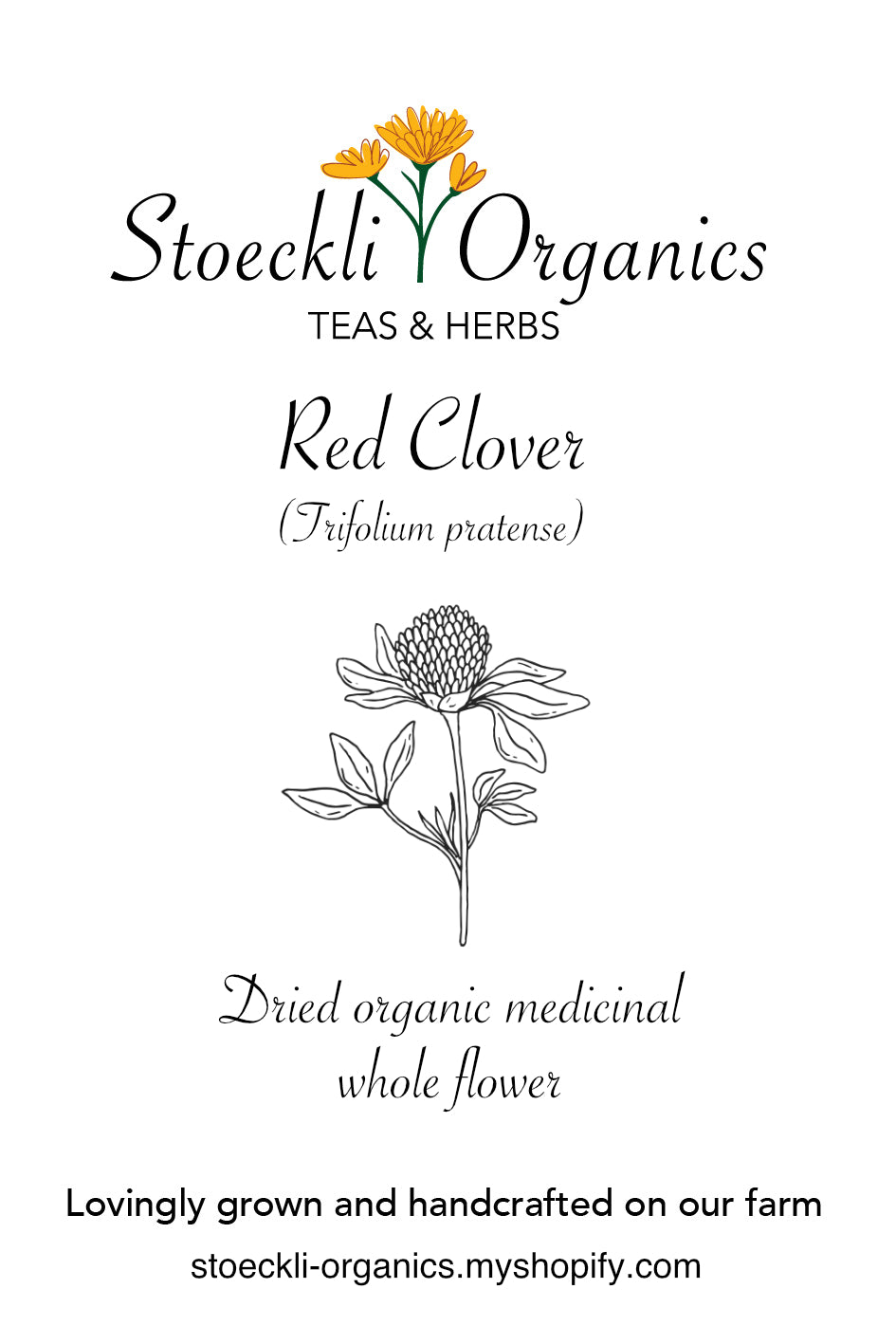 Organic Red Clover Blossoms