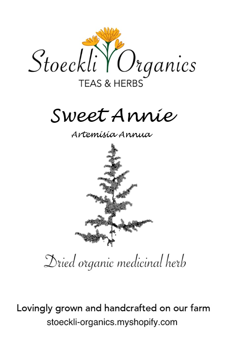 Organic Sweet Annie Herb